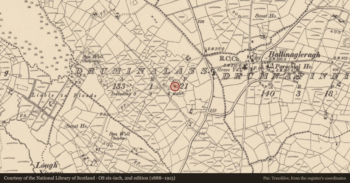 Ordnance Survey six-inch map, 2nd edition (1888–1915) covering the location of Ringfort - rath, Druminalass, County Leitrim, with a pin at the register's coordinates