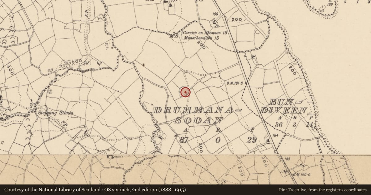 Ordnance Survey six-inch map, 2nd edition (1888–1915) covering the location of Ringfort - rath, Drummanasooan, County Leitrim, with a pin at the register's coordinates