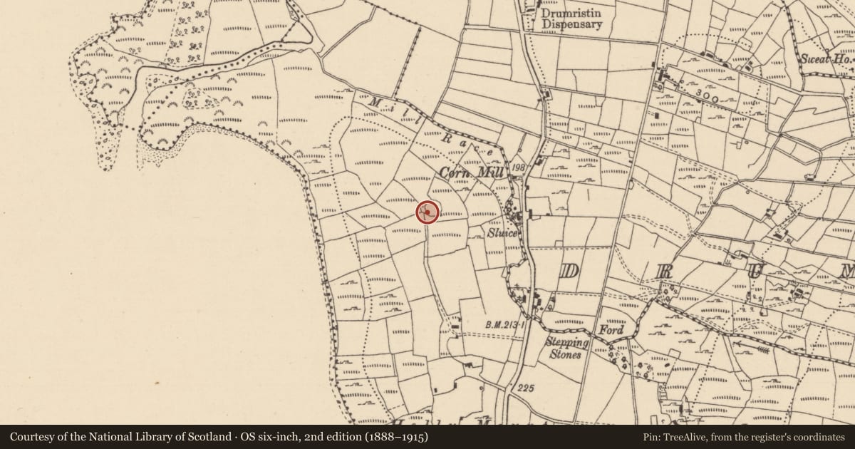 Ordnance Survey six-inch map, 2nd edition (1888–1915) covering the location of Ringfort - cashel, Cleighran Beg, County Leitrim, with a pin at the register's coordinates