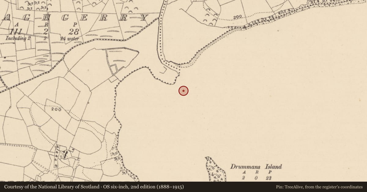 Ordnance Survey six-inch map, 2nd edition (1888–1915) covering the location of Prehistoric site - lithic scatter, Drummans Lower, County Leitrim, with a pin at the register's coordinates