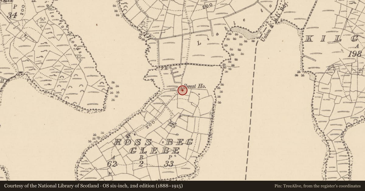 Ordnance Survey six-inch map, 2nd edition (1888–1915) covering the location of Sweathouse, Ross Beg Glebe, County Leitrim, with a pin at the register's coordinates