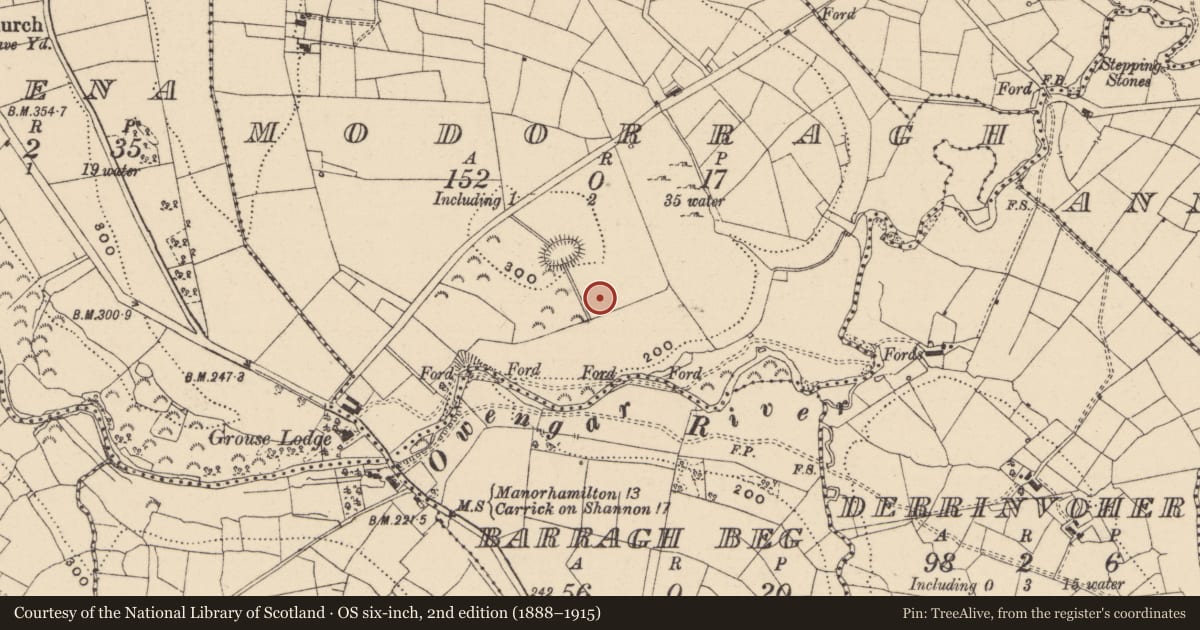 Ordnance Survey six-inch map, 2nd edition (1888–1915) covering the location of Bullaun stone, Modorragh, County Leitrim, with a pin at the register's coordinates