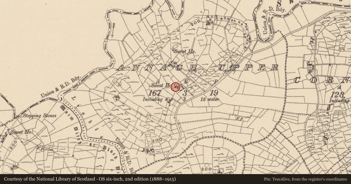 Ordnance Survey six-inch map, 2nd edition (1888–1915) covering the location of Sweathouse, Annagh Upper, County Leitrim, with a pin at the register's coordinates