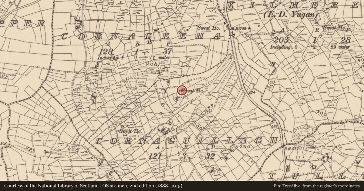 Ordnance Survey six-inch map, 2nd edition (1888–1915) covering the location of Sweathouse, Cornaguillagh, County Leitrim, with a pin at the register's coordinates