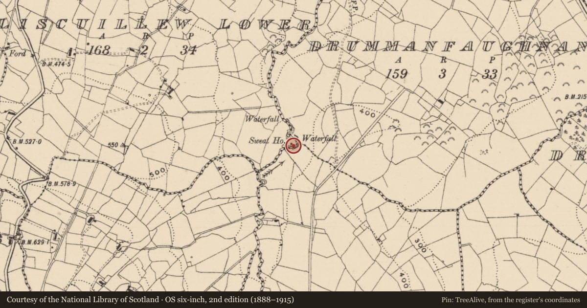 Ordnance Survey six-inch map, 2nd edition (1888–1915) covering the location of Sweathouse, Liscuillew Lower, County Leitrim, with a pin at the register's coordinates