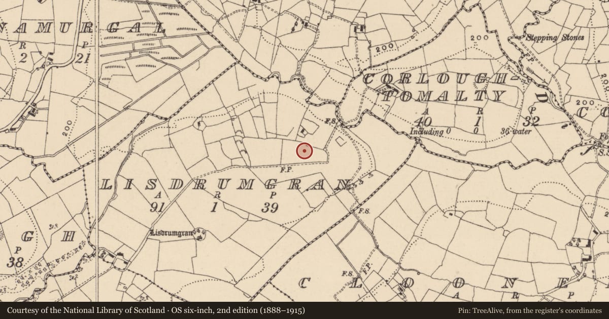 Ordnance Survey six-inch map, 2nd edition (1888–1915) covering the location of Bullaun stone, Lisdrumgran, County Leitrim, with a pin at the register's coordinates