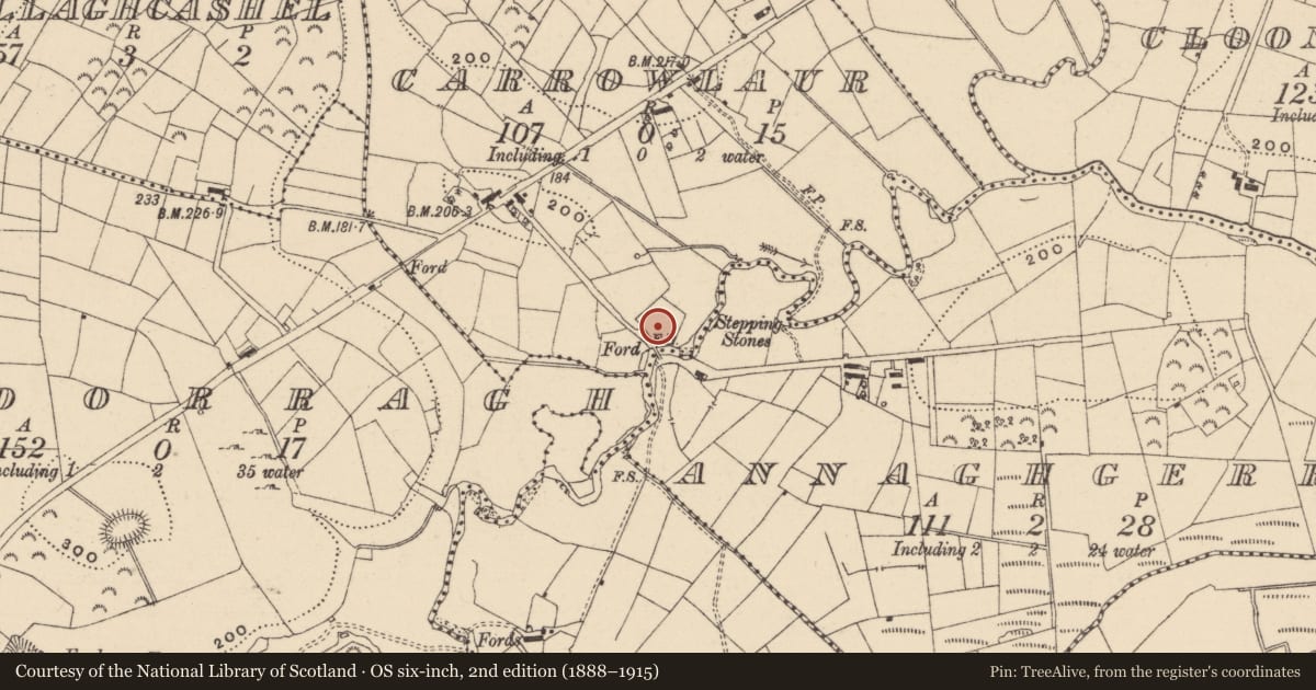 Ordnance Survey six-inch map, 2nd edition (1888–1915) covering the location of Church, Carrowlaur, County Leitrim, with a pin at the register's coordinates