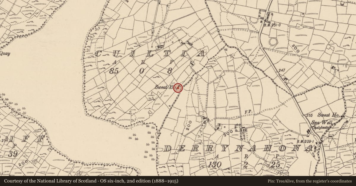 Ordnance Survey six-inch map, 2nd edition (1888–1915) covering the location of Sweathouse, Cuiltia, County Leitrim, with a pin at the register's coordinates