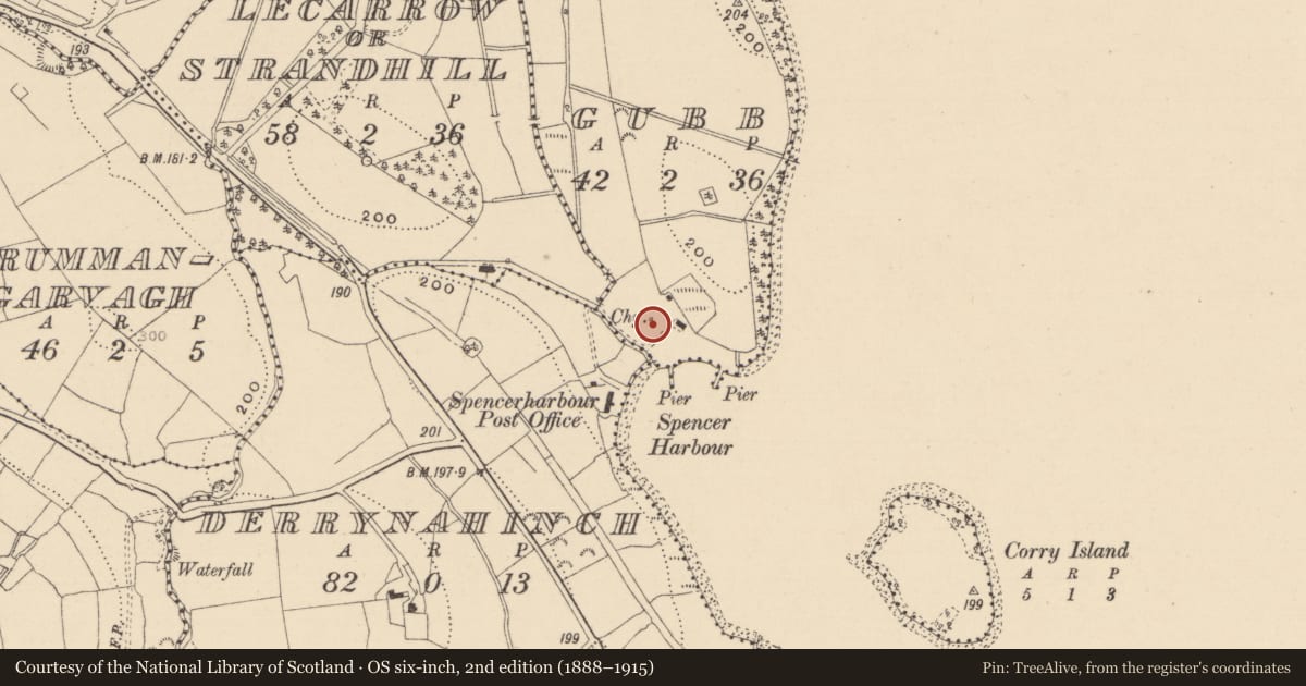 Ordnance Survey six-inch map, 2nd edition (1888–1915) covering the location of Metalworking site, Gubb, County Leitrim, with a pin at the register's coordinates