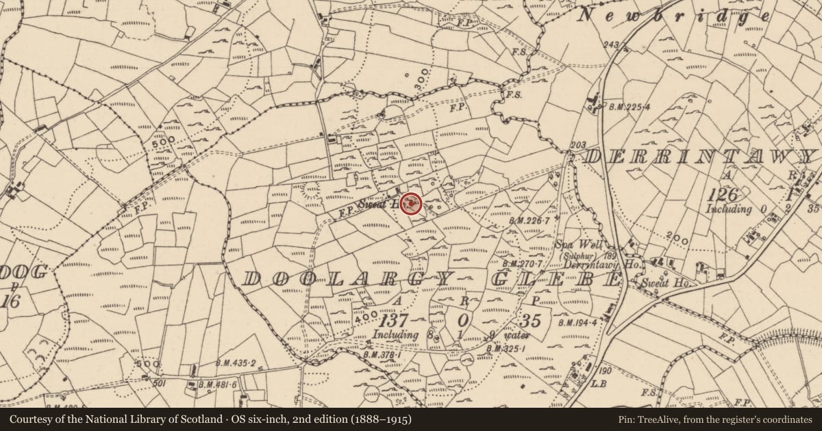 Ordnance Survey six-inch map, 2nd edition (1888–1915) covering the location of Sweathouse, Doolargy Glebe, County Leitrim, with a pin at the register's coordinates
