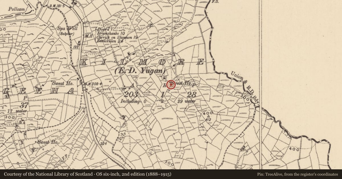 Ordnance Survey six-inch map, 2nd edition (1888–1915) covering the location of Sweathouse, Kilmore, County Leitrim, with a pin at the register's coordinates