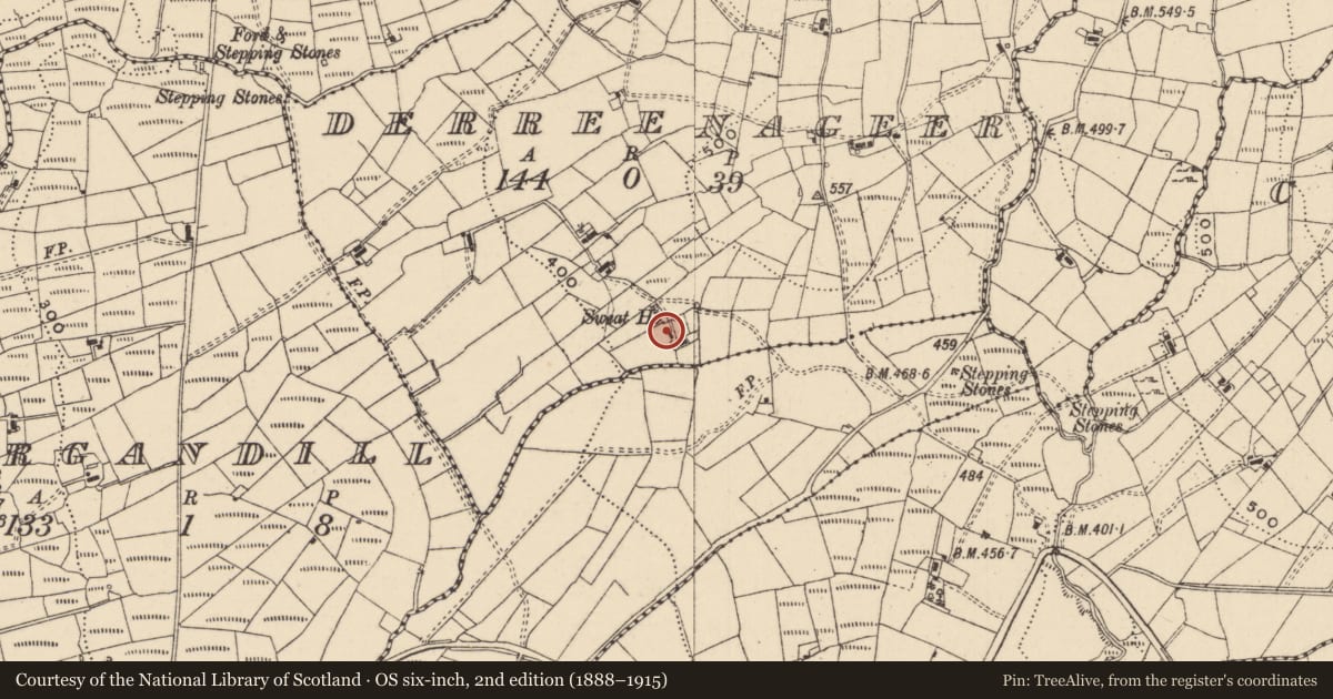 Ordnance Survey six-inch map, 2nd edition (1888–1915) covering the location of Sweathouse, Derreenageer, County Leitrim, with a pin at the register's coordinates