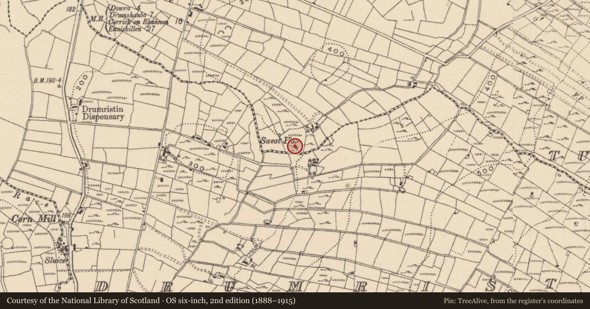 Ordnance Survey six-inch map, 2nd edition (1888–1915) covering the location of Sweathouse, Tullyveacan, County Leitrim, with a pin at the register's coordinates
