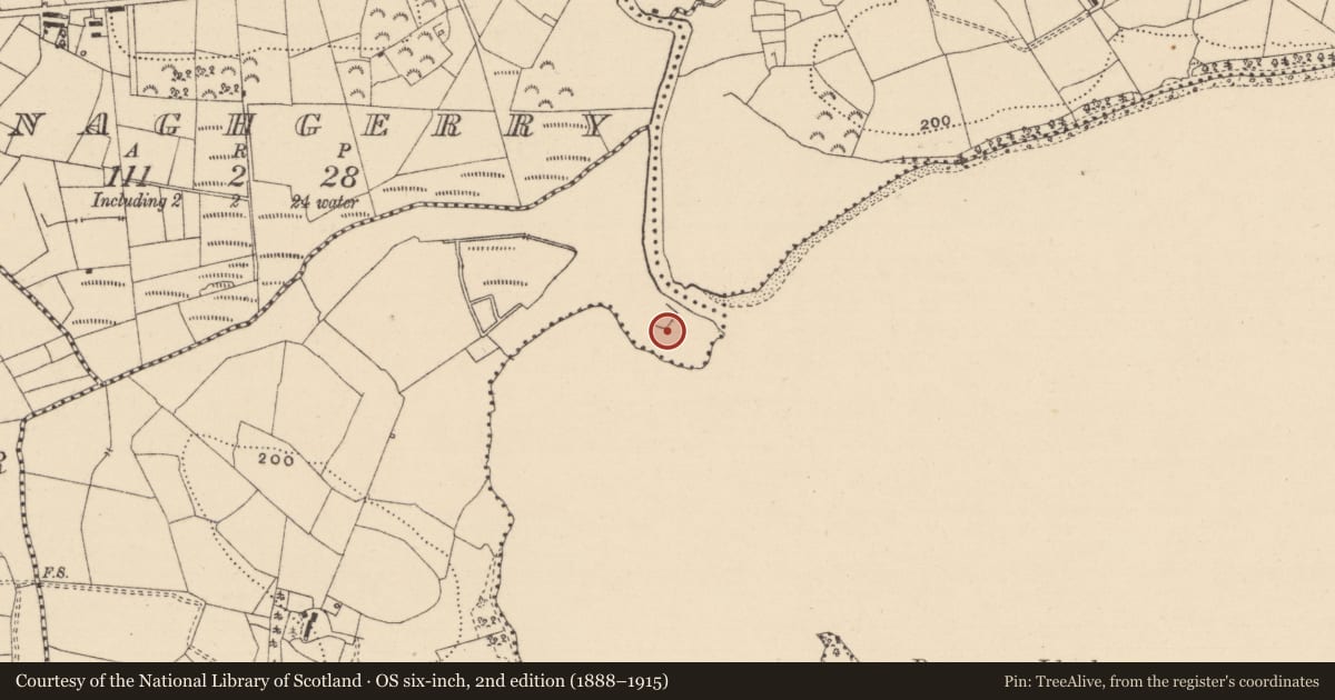 Ordnance Survey six-inch map, 2nd edition (1888–1915) covering the location of Penal Mass station, Drummans Lower, County Leitrim, with a pin at the register's coordinates