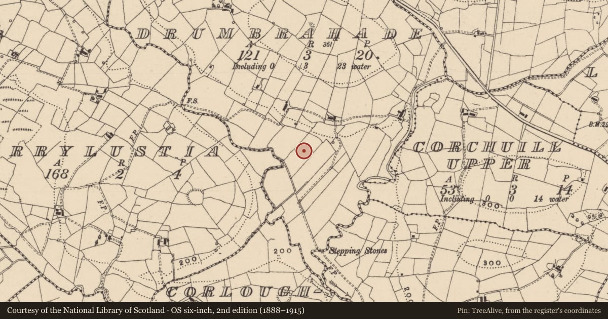 Ordnance Survey six-inch map, 2nd edition (1888–1915) covering the location of Ringfort - rath, Drumbrahade, County Leitrim, with a pin at the register's coordinates