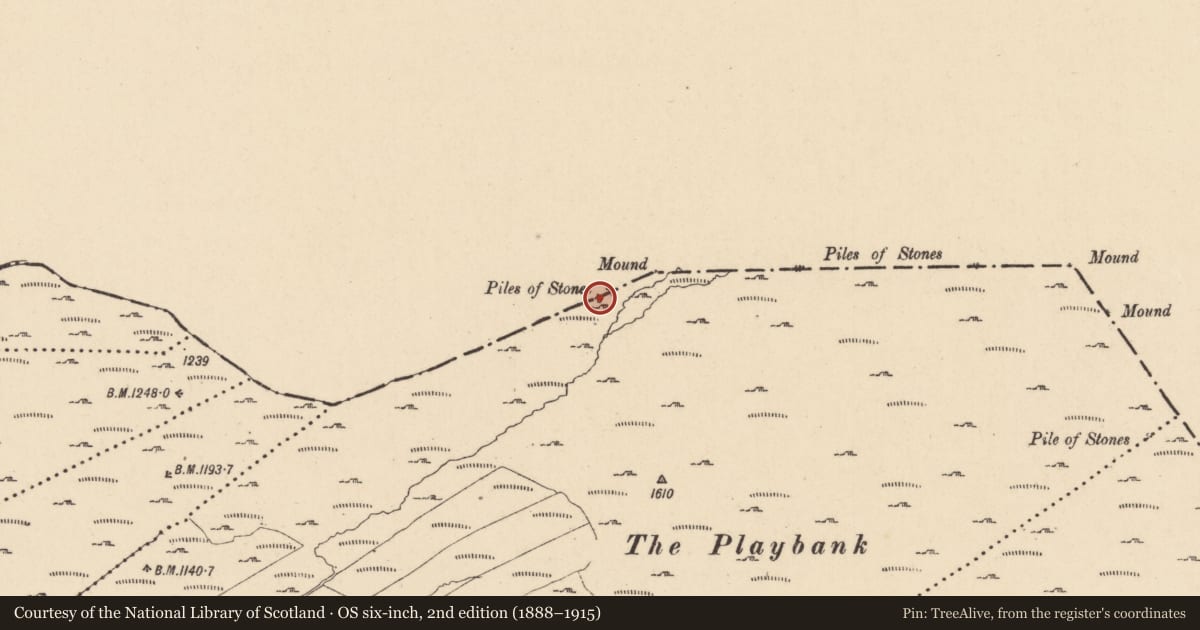 Ordnance Survey six-inch map, 2nd edition (1888–1915) covering the location of Cairn - boundary cairn, Drumnafinnila Barr, County Leitrim, with a pin at the register's coordinates