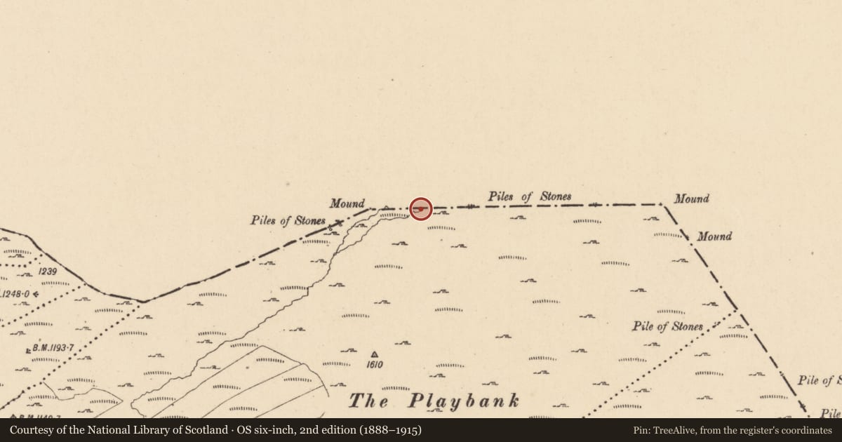 Ordnance Survey six-inch map, 2nd edition (1888–1915) covering the location of Cairn - boundary cairn, Drumnafinnila Barr, County Leitrim, with a pin at the register's coordinates