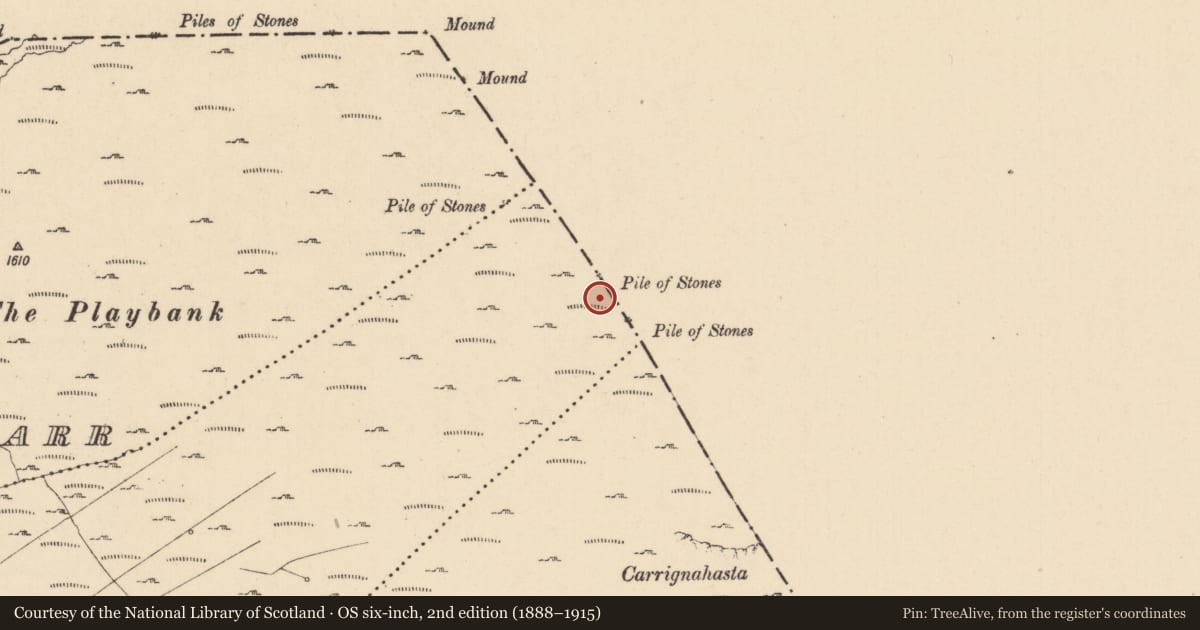 Ordnance Survey six-inch map, 2nd edition (1888–1915) covering the location of Cairn - boundary cairn, Cortober, County Leitrim, with a pin at the register's coordinates