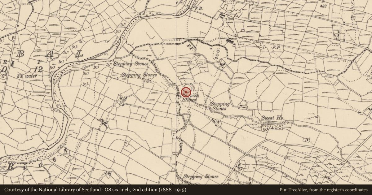Ordnance Survey six-inch map, 2nd edition (1888–1915) covering the location of Ringfort - rath, Tullynahaia, County Leitrim, with a pin at the register's coordinates