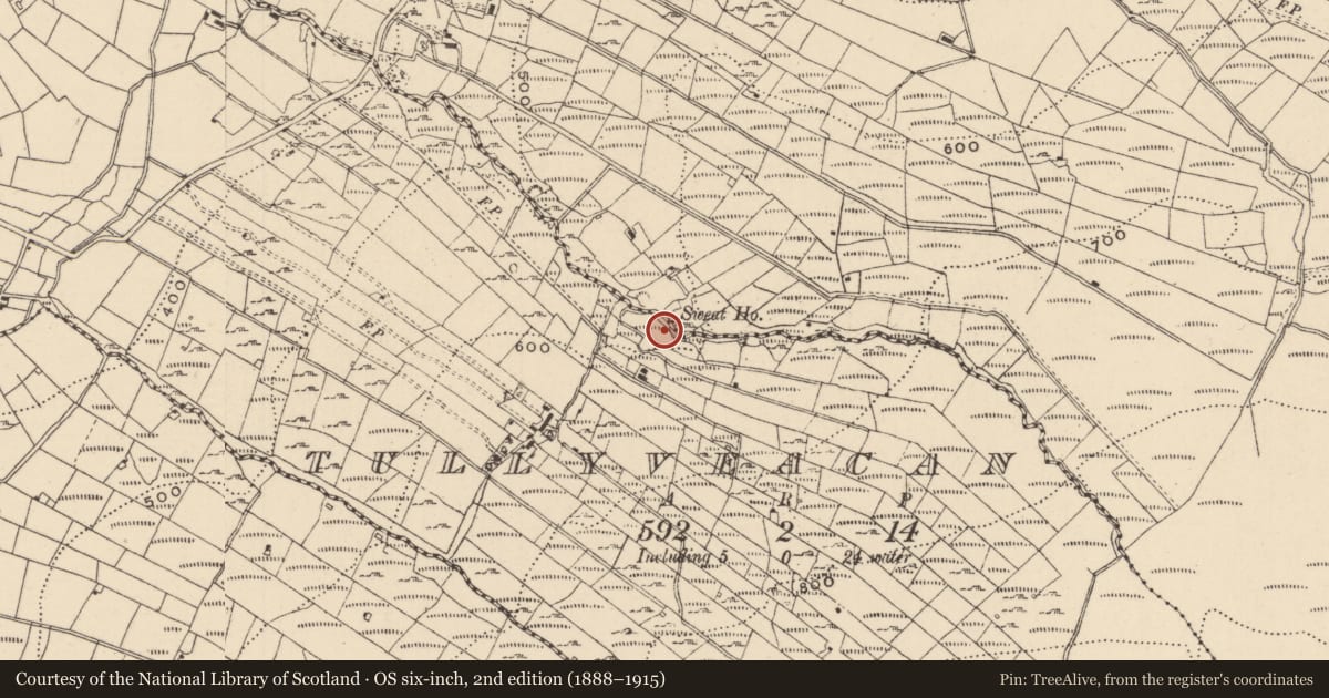 Ordnance Survey six-inch map, 2nd edition (1888–1915) covering the location of Sweathouse, Tullynahaia, County Leitrim, with a pin at the register's coordinates