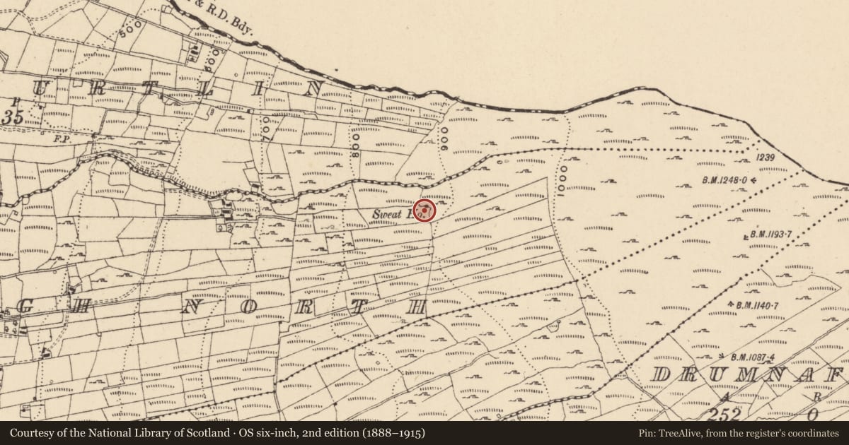 Ordnance Survey six-inch map, 2nd edition (1888–1915) covering the location of Sweathouse, Cornamucklagh North, County Leitrim, with a pin at the register's coordinates
