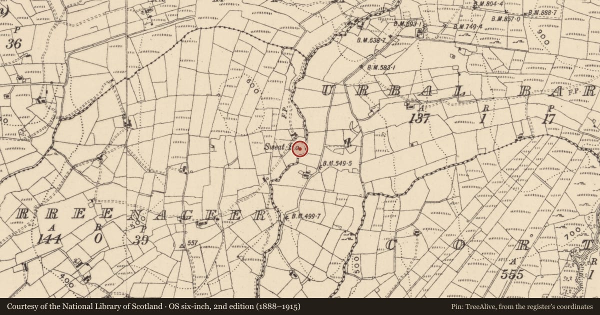 Ordnance Survey six-inch map, 2nd edition (1888–1915) covering the location of Sweathouse, Derreenageer, County Leitrim, with a pin at the register's coordinates