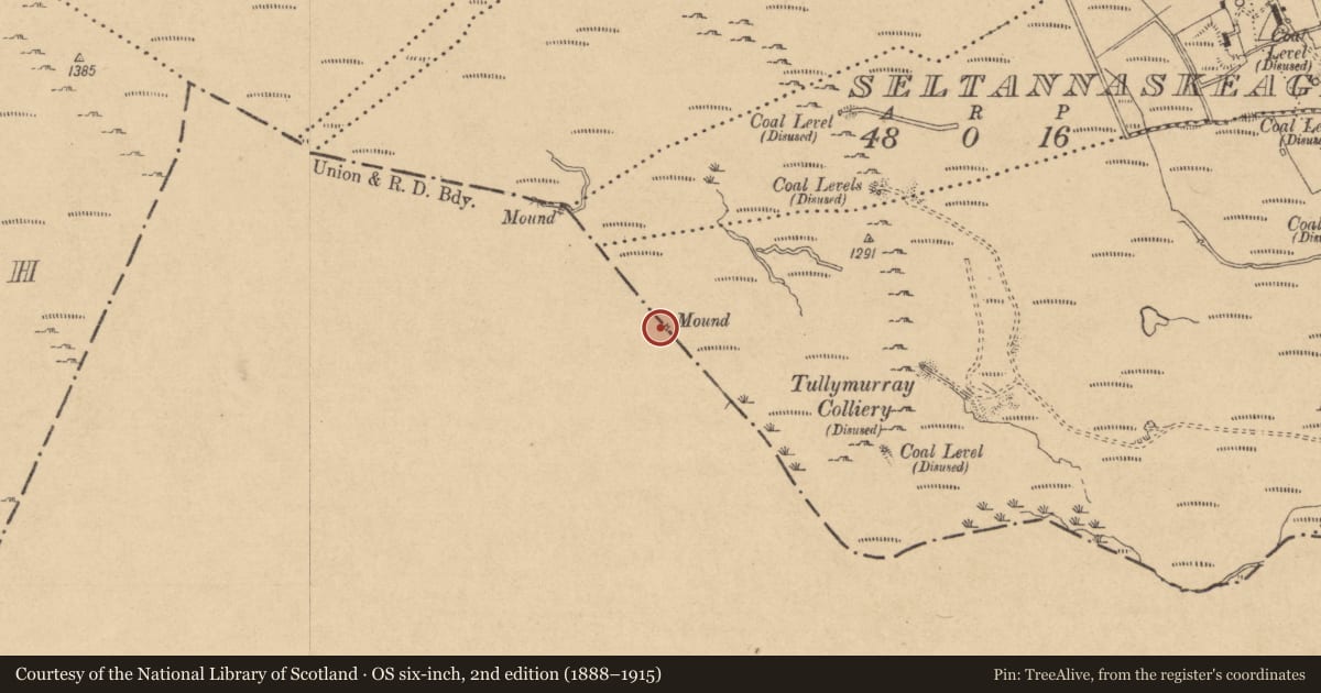 Ordnance Survey six-inch map, 2nd edition (1888–1915) covering the location of Boundary mound, Tullymurray, County Leitrim, with a pin at the register's coordinates