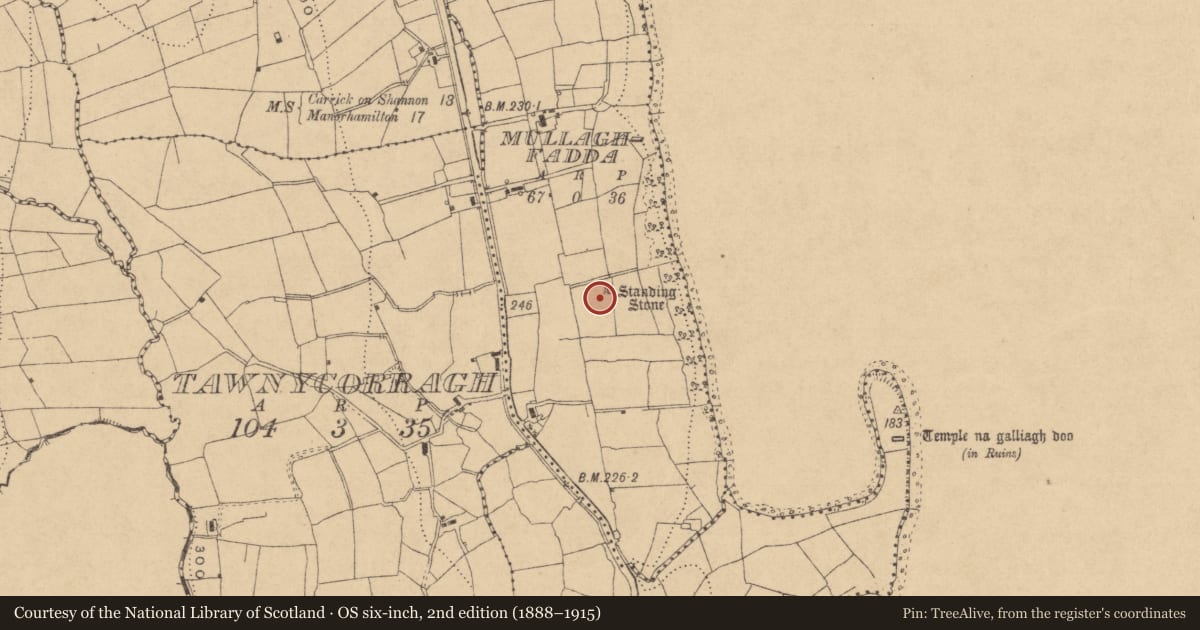 Ordnance Survey six-inch map, 2nd edition (1888–1915) covering the location of Standing stone, Mullaghfadda, County Leitrim, with a pin at the register's coordinates