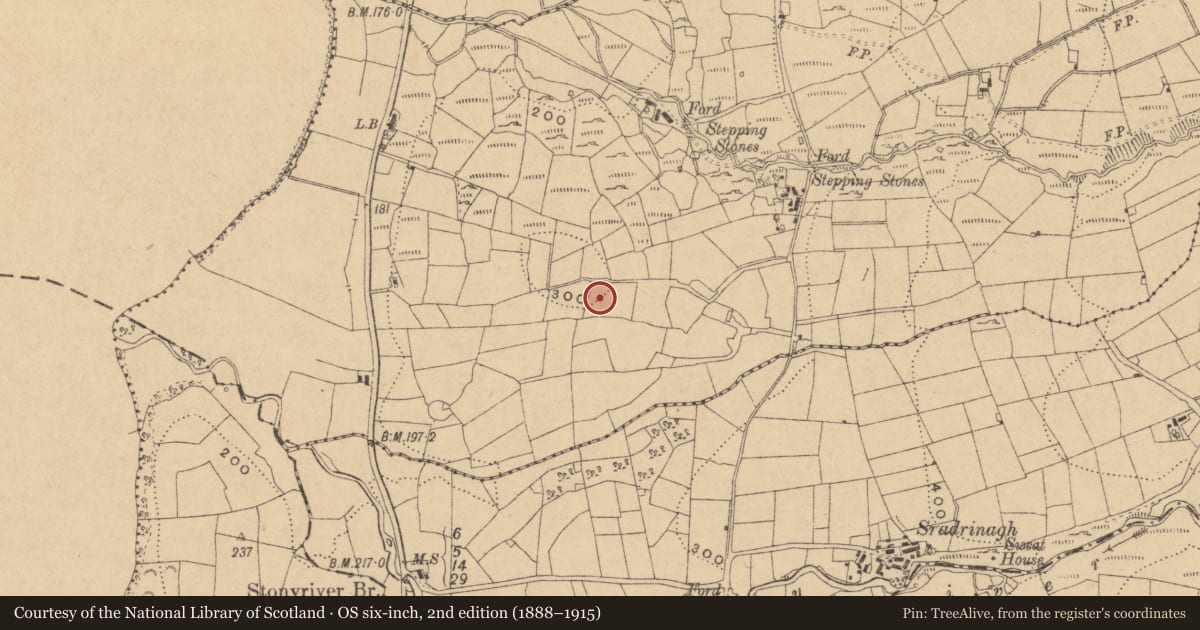 Ordnance Survey six-inch map, 2nd edition (1888–1915) covering the location of Ringfort - rath, Cornamucklagh South, County Leitrim, with a pin at the register's coordinates