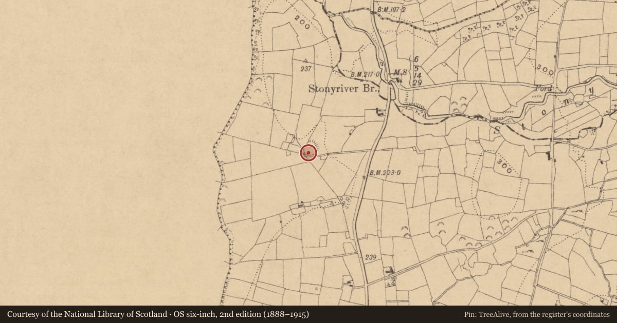 Ordnance Survey six-inch map, 2nd edition (1888–1915) covering the location of Ringfort - rath, Greaghnaguillaun, County Leitrim, with a pin at the register's coordinates