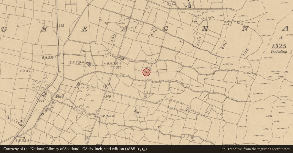 Ordnance Survey six-inch map, 2nd edition (1888–1915) covering the location of Ringfort - rath, Greaghnaguillaun, County Leitrim, with a pin at the register's coordinates