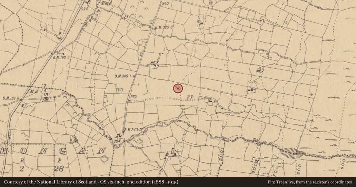 Ordnance Survey six-inch map, 2nd edition (1888–1915) covering the location of Ringfort - rath, Greaghnaguillaun, County Leitrim, with a pin at the register's coordinates