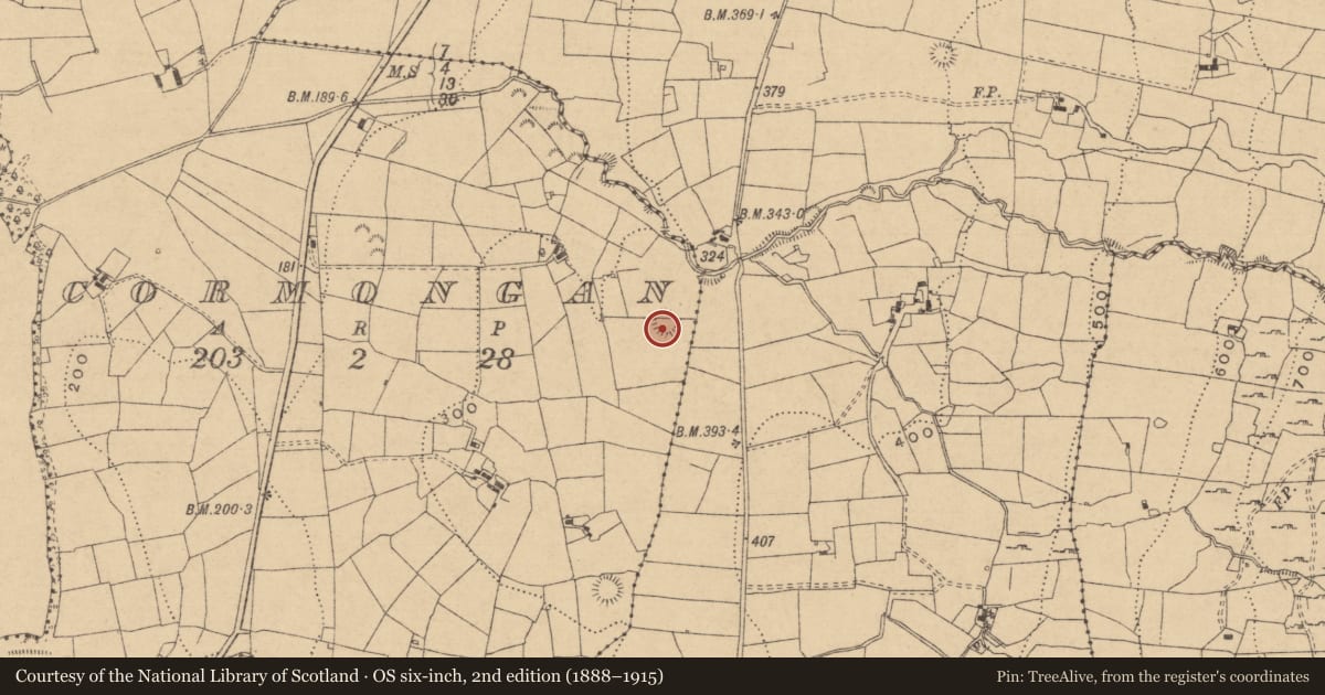Ordnance Survey six-inch map, 2nd edition (1888–1915) covering the location of Ringfort - rath, Cormongan, County Leitrim, with a pin at the register's coordinates