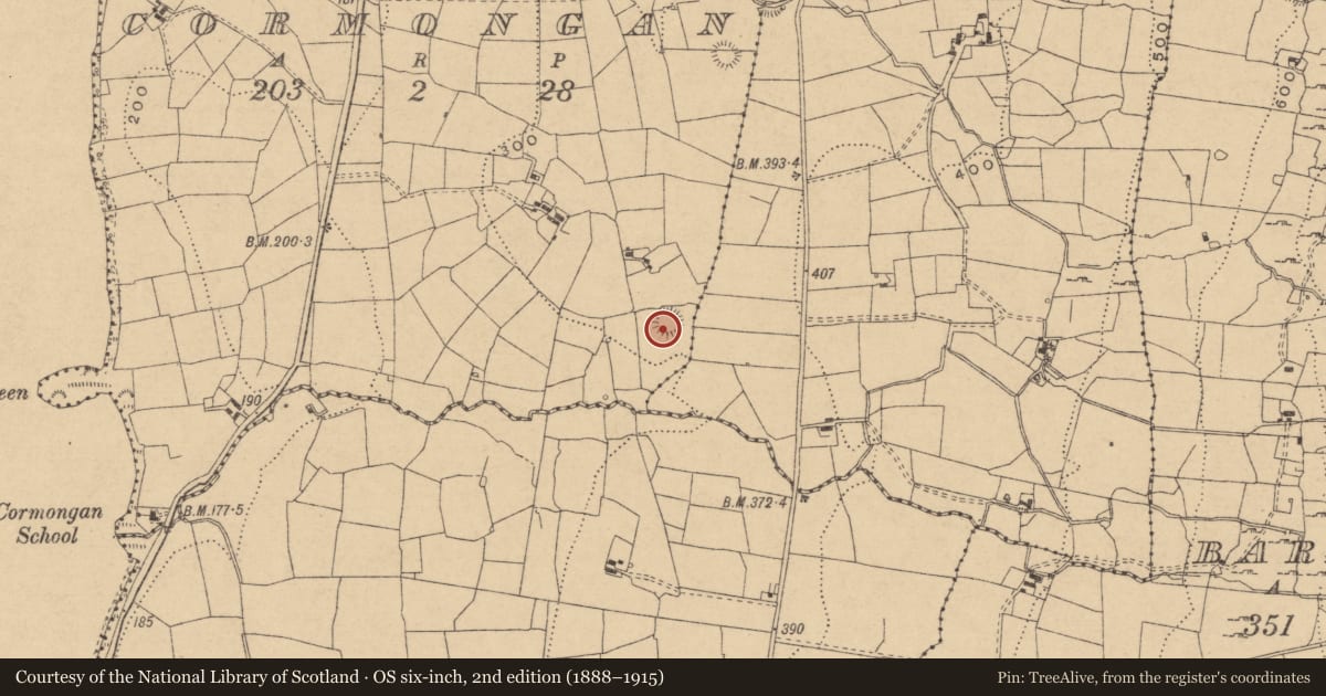 Ordnance Survey six-inch map, 2nd edition (1888–1915) covering the location of Ringfort - rath, Cormongan, County Leitrim, with a pin at the register's coordinates