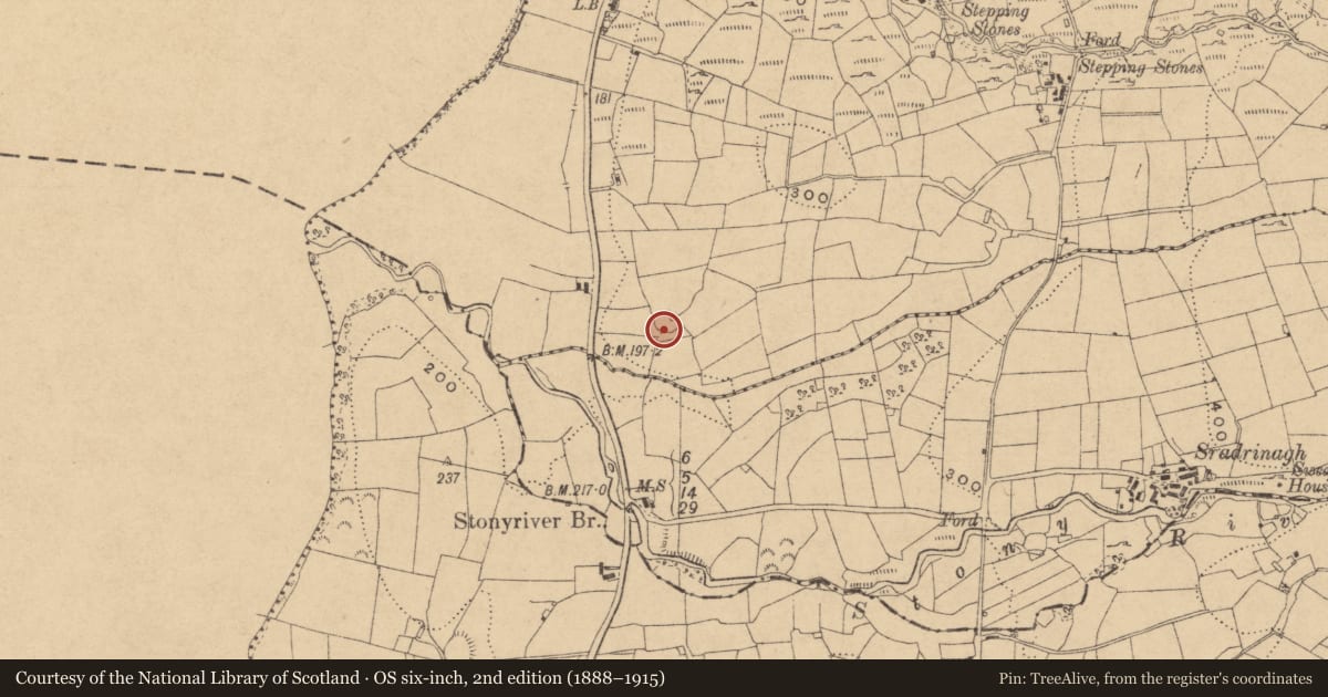 Ordnance Survey six-inch map, 2nd edition (1888–1915) covering the location of Ringfort - unclassified, Cornamucklagh South, County Leitrim, with a pin at the register's coordinates