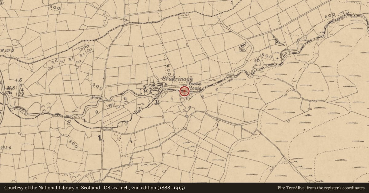Ordnance Survey six-inch map, 2nd edition (1888–1915) covering the location of Sweathouse, Sradrinagh, County Leitrim, with a pin at the register's coordinates