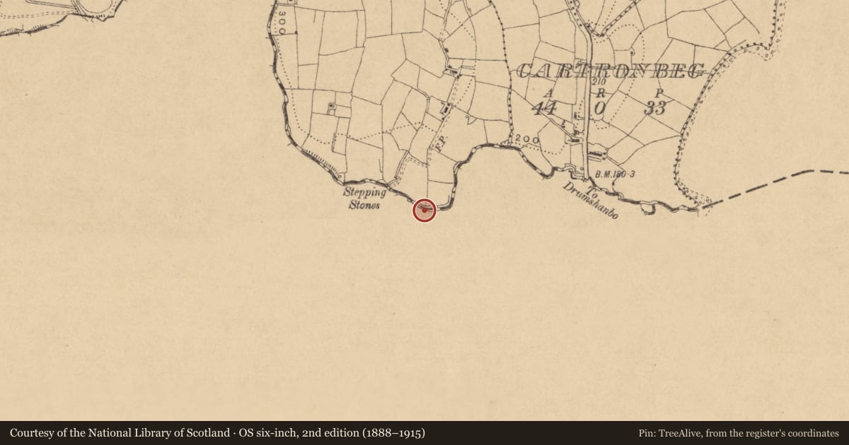 Ordnance Survey six-inch map, 2nd edition (1888–1915) covering the location of Penal Mass station, Tawnycorragh, County Leitrim, with a pin at the register's coordinates