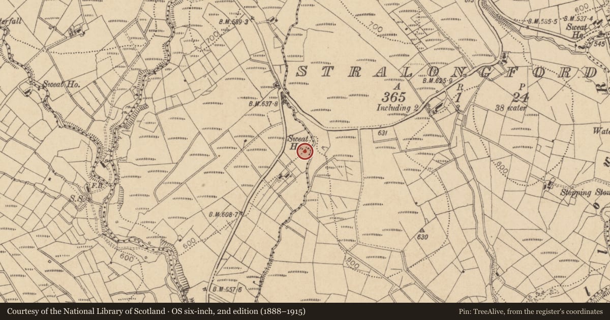 Ordnance Survey six-inch map, 2nd edition (1888–1915) covering the location of Sweathouse, Gubnaveagh, County Leitrim, with a pin at the register's coordinates