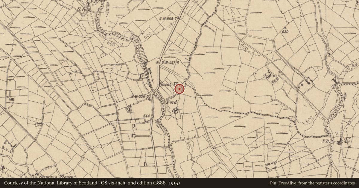 Ordnance Survey six-inch map, 2nd edition (1888–1915) covering the location of Sweathouse, Gubnaveagh, County Leitrim, with a pin at the register's coordinates