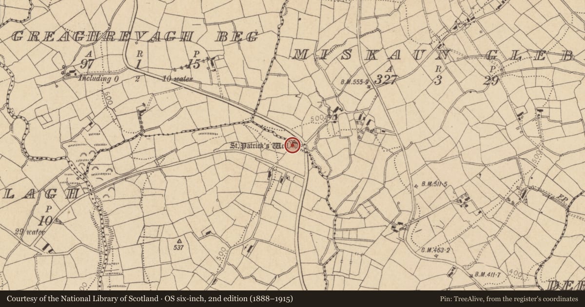 Ordnance Survey six-inch map, 2nd edition (1888–1915) covering the location of Ritual site - holy well, Miskaun Glebe, County Leitrim, with a pin at the register's coordinates