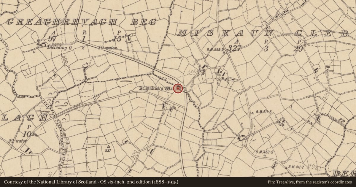 Ordnance Survey six-inch map, 2nd edition (1888–1915) covering the location of Enclosure, Miskaun Glebe, County Leitrim, with a pin at the register's coordinates