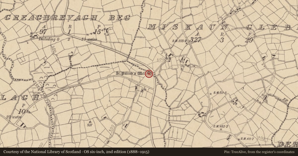 Ordnance Survey six-inch map, 2nd edition (1888–1915) covering the location of Well, Miskaun Glebe, County Leitrim, with a pin at the register's coordinates