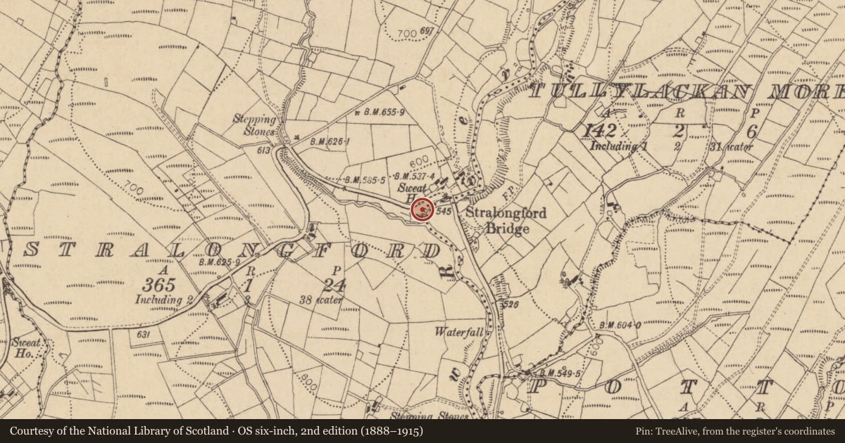 Ordnance Survey six-inch map, 2nd edition (1888–1915) covering the location of Sweathouse, Stralongford, County Leitrim, with a pin at the register's coordinates