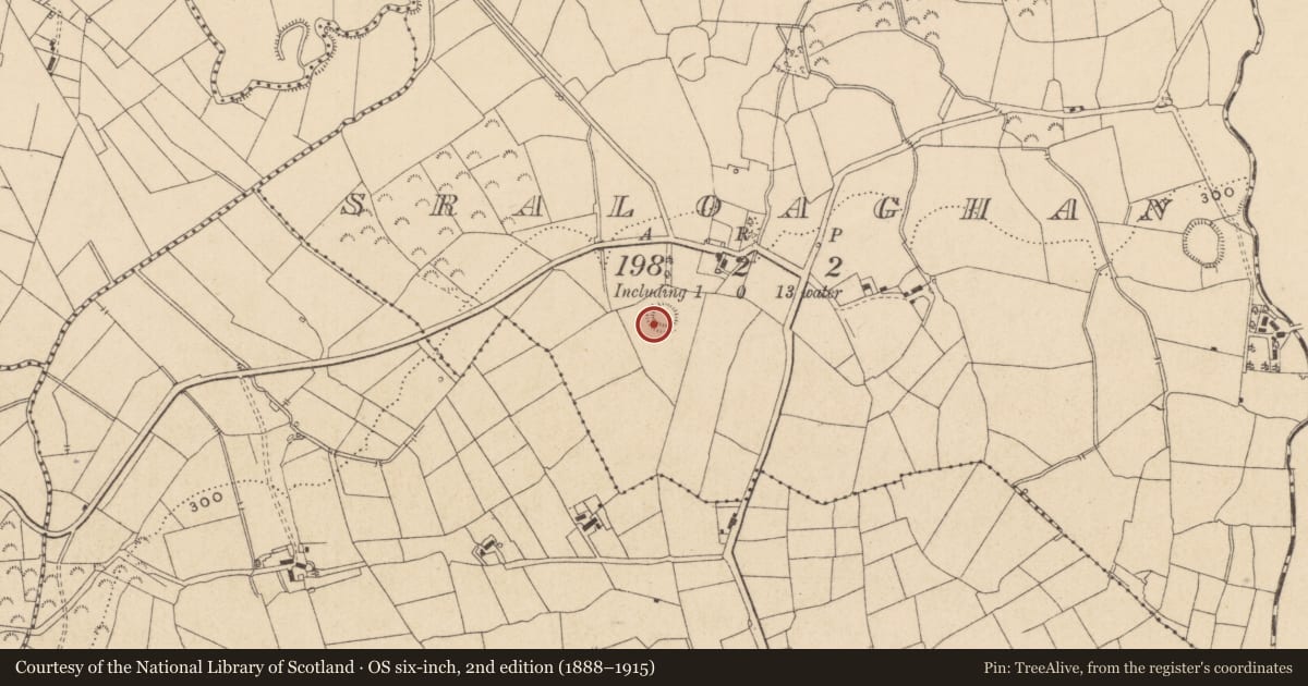 Ordnance Survey six-inch map, 2nd edition (1888–1915) covering the location of Ringfort - rath, Sraloaghan, County Leitrim, with a pin at the register's coordinates
