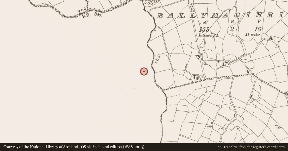 Ordnance Survey six-inch map, 2nd edition (1888–1915) covering the location of Ringfort - rath, Sraloaghan, County Leitrim, with a pin at the register's coordinates