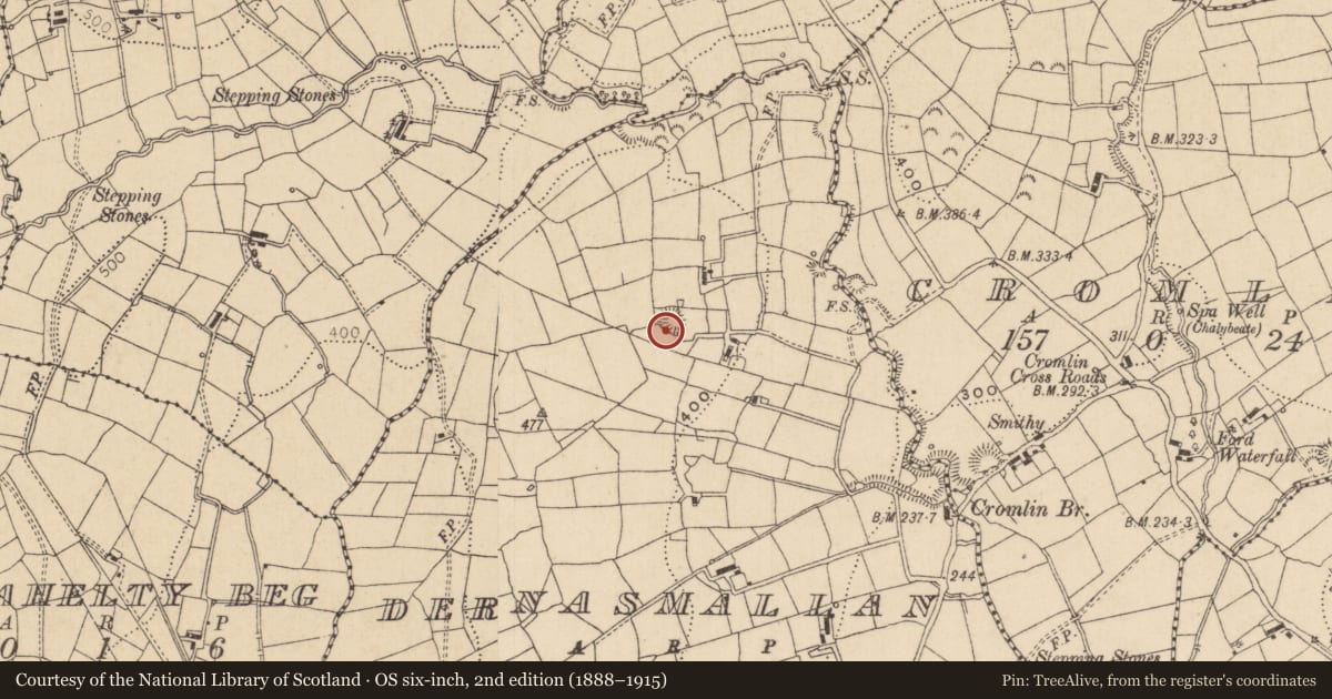 Ordnance Survey six-inch map, 2nd edition (1888–1915) covering the location of Ringfort - rath, Dernasmallan, County Leitrim, with a pin at the register's coordinates