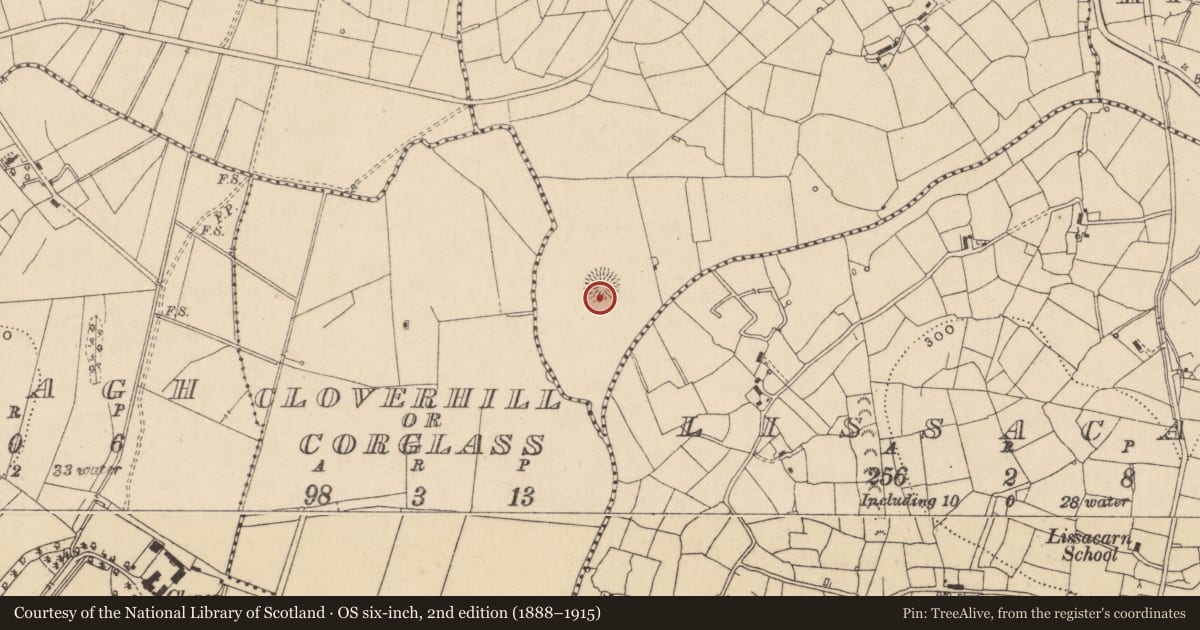 Ordnance Survey six-inch map, 2nd edition (1888–1915) covering the location of Ringfort - rath, Kiltyhugh, County Leitrim, with a pin at the register's coordinates