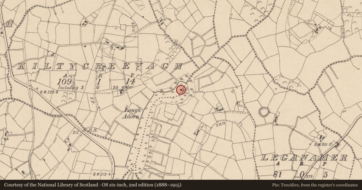 Ordnance Survey six-inch map, 2nd edition (1888–1915) covering the location of Crannog, Drumarigna, Kiltycreevagh, County Leitrim, with a pin at the register's coordinates
