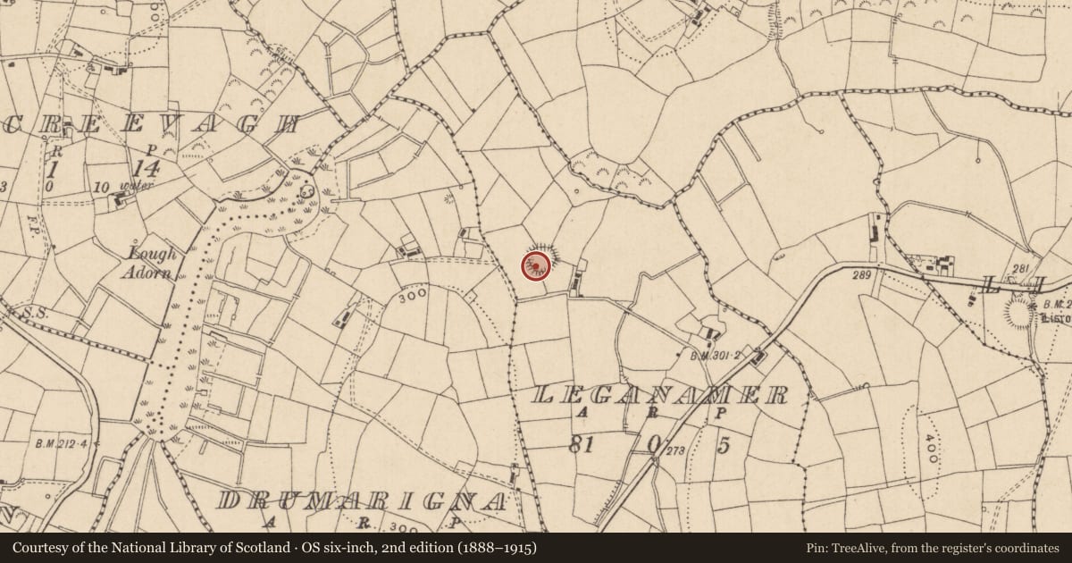 Ordnance Survey six-inch map, 2nd edition (1888–1915) covering the location of Ringfort - rath, Leganamer, County Leitrim, with a pin at the register's coordinates
