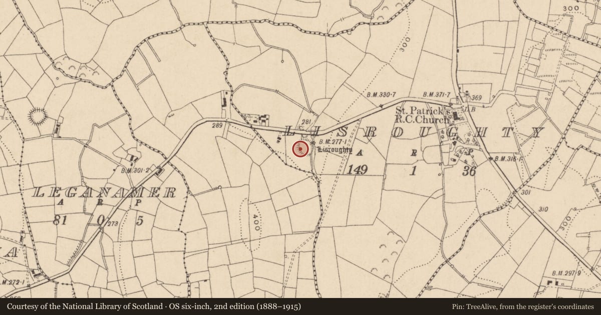 Ordnance Survey six-inch map, 2nd edition (1888–1915) covering the location of Ringfort - rath, Lisroughty, County Leitrim, with a pin at the register's coordinates